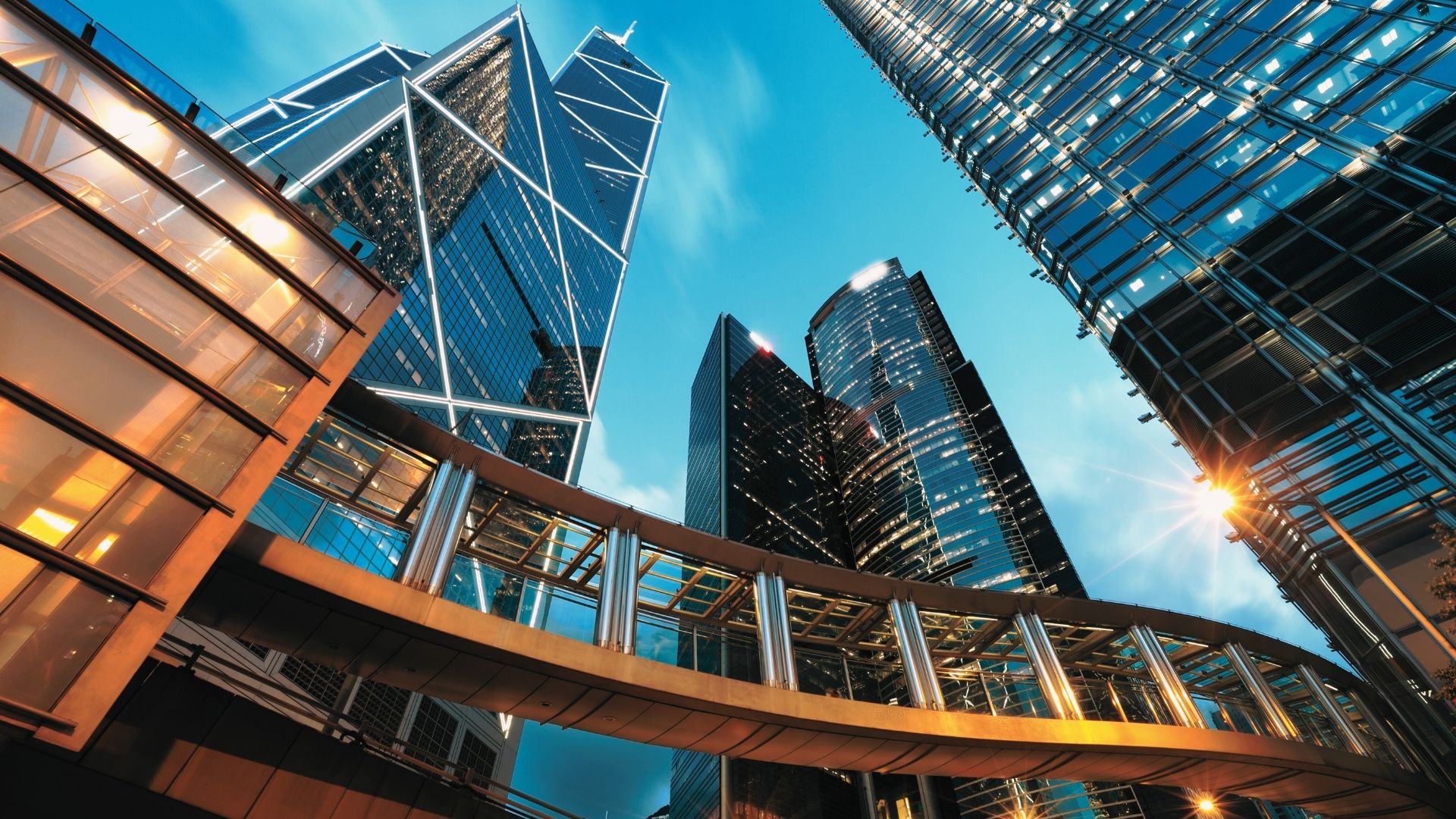 VigiloIQ for Professional Services